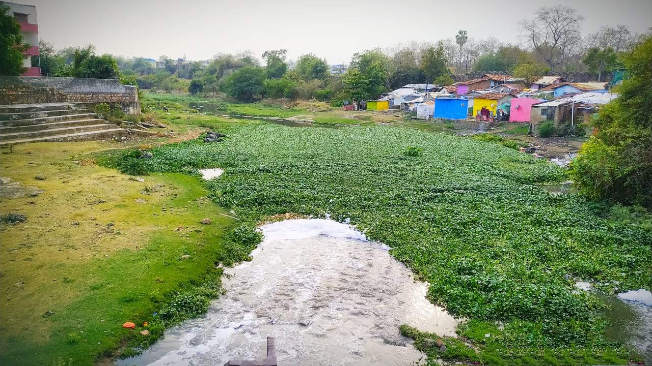 झरपट नदी व शहरातील नाल्यांची सफाई तातडीने करा