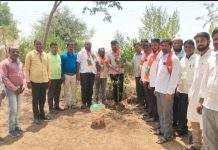 🌱 मेघना दिदी साकोरे बोर्डीकर यांच्या वाढदिवसानिमित्त वालूर येथे 100 वृक्षांचे वृक्षारोपण