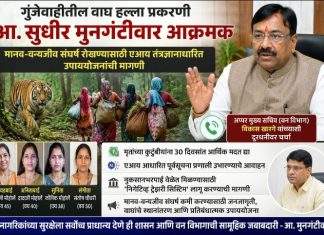 “गुंजेवाहीतील वाघ हल्ला प्रकरणी आ. सुधीर मुनगंटीवार आक्रमक; मानव–वन्यजीव संघर्ष रोखण्यासाठी एआय तंत्रज्ञानाधारित उपाययोजनांची मागणी”
