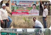 मोदी सरकारच्या १२ वर्षपूर्तीनिमित्त भाजप गडचांदूर मंडळाचा ‘एक पेड माँ के नाम’ वृक्षारोपण उपक्रम उत्साहात
